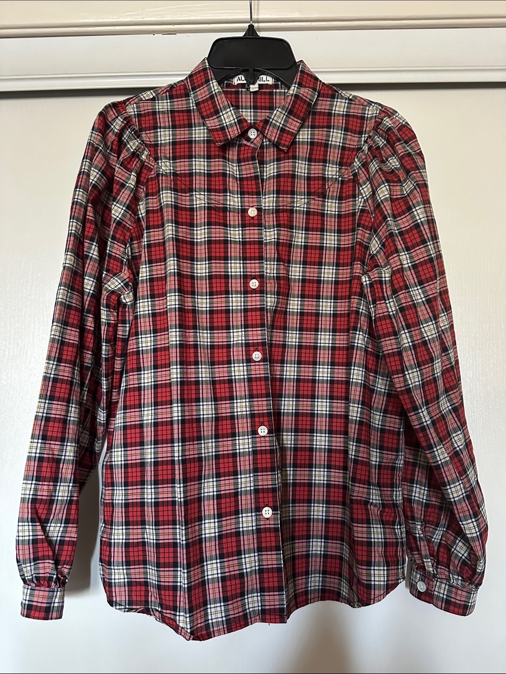Alex Mill Red Black White Plaid Button-Down Shirt